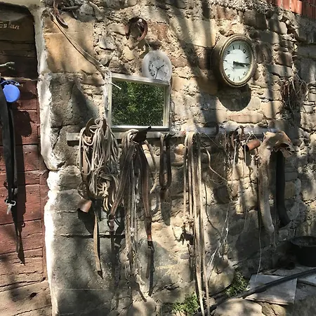 Appartamento L'oasi Di Pace Di Elena *